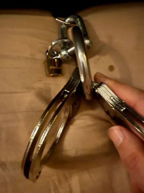 Shackle with large metal ring